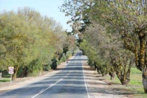 eden valley adelaide south australia