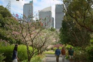 Sydney Royal Botanic Gardens
