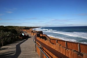 Whale Spotting in Portland