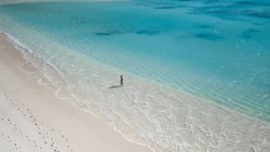 person at a beach shore