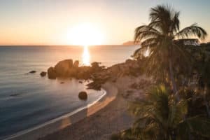 queensland coastline palm trees sea sunset sunrise