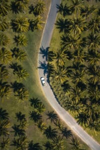 campervan hire queensland roads palm trees birdseye view