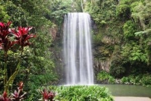 campervan hire_millaa millaaa_falls