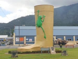 golden gumboot tully rainforest