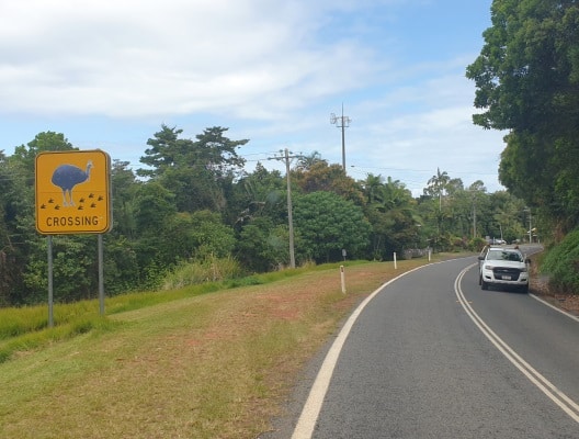 Last Image Highlights Section 528 X 400