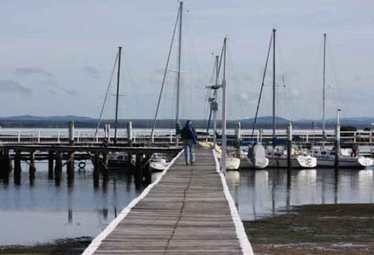 Tips Image 1 528 X 400