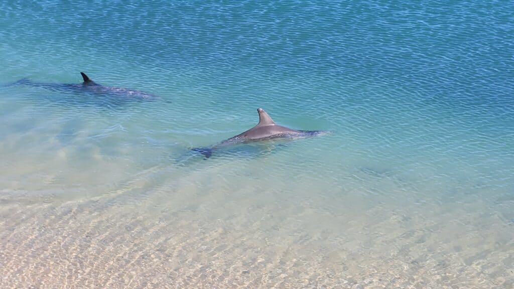 Coral Coast and Ningaloo Reef