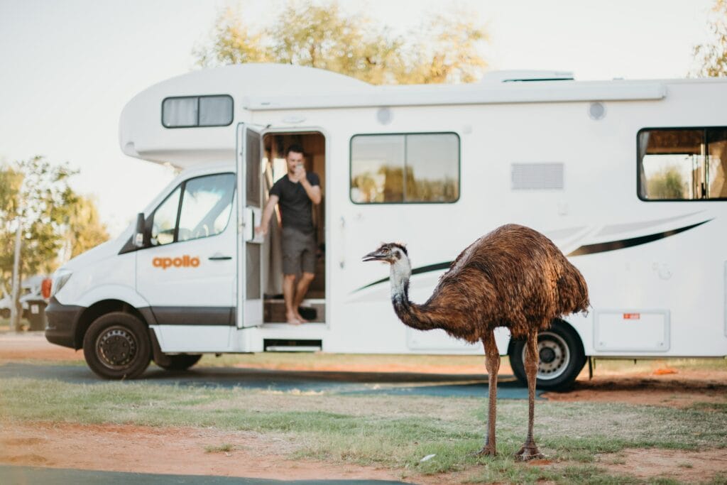 essentials in eco-friendly camping