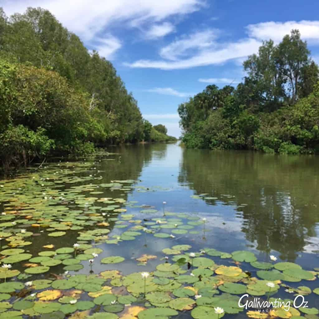 Cairns to Sydney - National Parks
