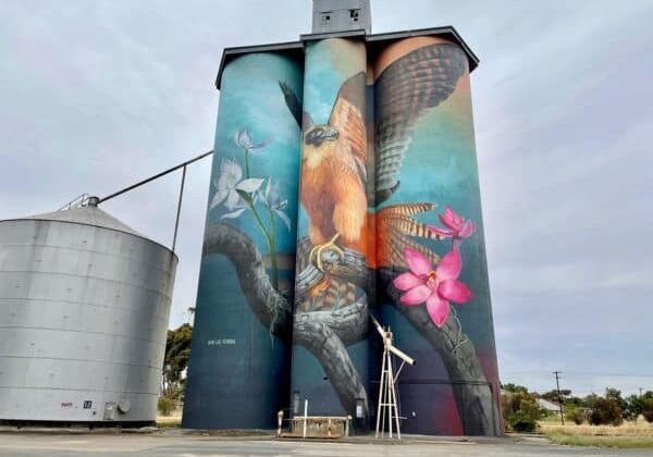 259621510 10158848655018843 2019533340332098896 N