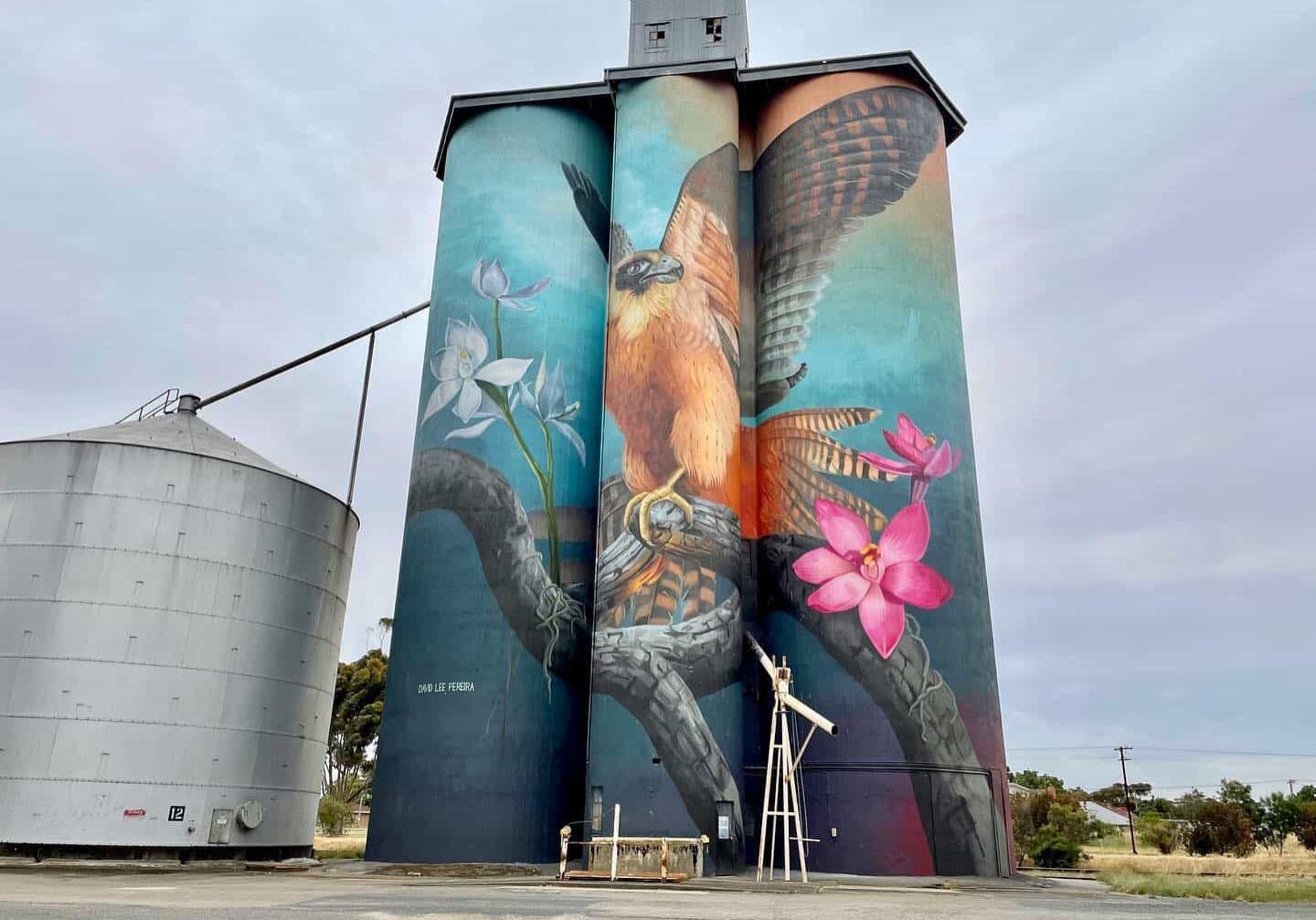 259621510 10158848655018843 2019533340332098896 N