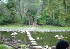 Crossing Carnarvon Creek Carnarvon Gorge